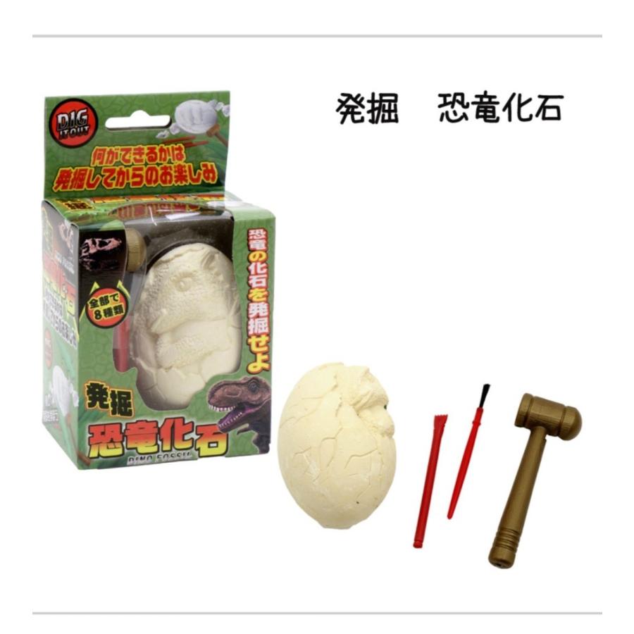 発掘！恐竜化石 : ここは店 - 通販 - Yahoo!ショッピング