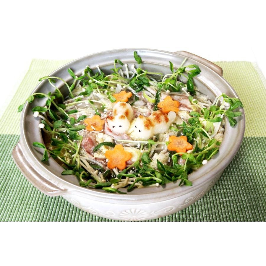 KOKUBO 大根おろしニャン 小久保工業所 | 小久保工業所 | 14