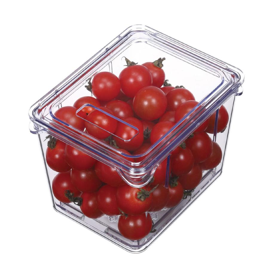 KOKUBO すのこ付き透明野菜保存容器　S 小久保工業所 | 小久保工業所 | 02