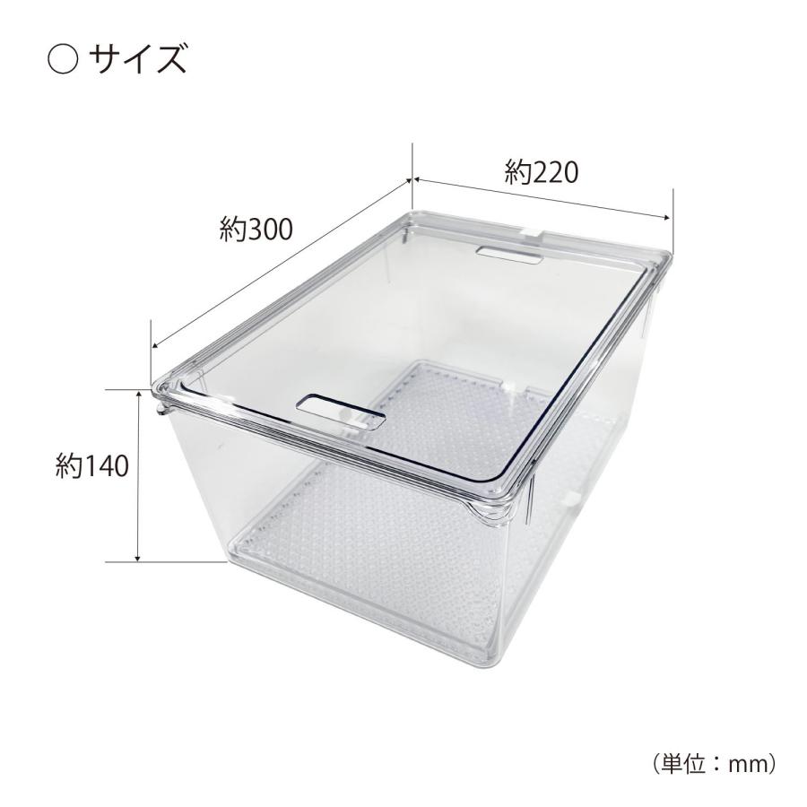 小久保工業所 KOKUBO すのこ付き透明野菜保存容器 L : KOKUBOショップ