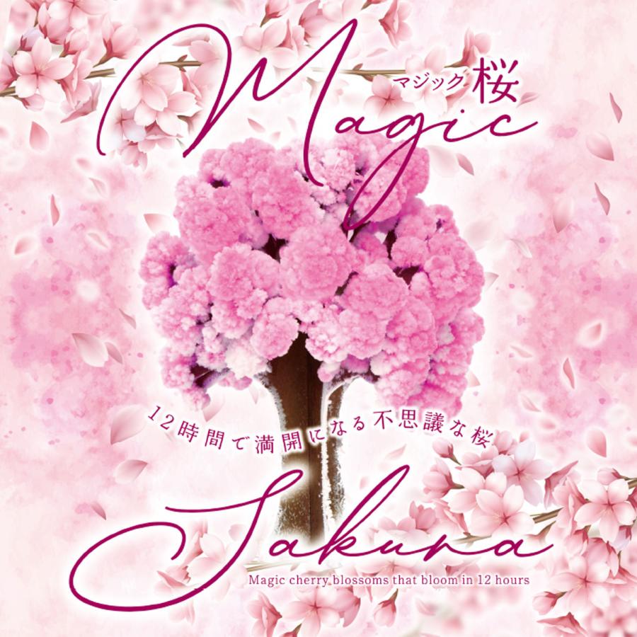 KOKUBO マジック 桜 プレゼント プチギフト さくら 花見 お花見 ギフト 玩具 小久保工業所 | 