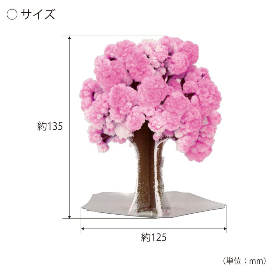 KOKUBO マジック 桜 プレゼント プチギフト さくら 花見 お花見 ギフト 玩具 小久保工業所 |  | 01