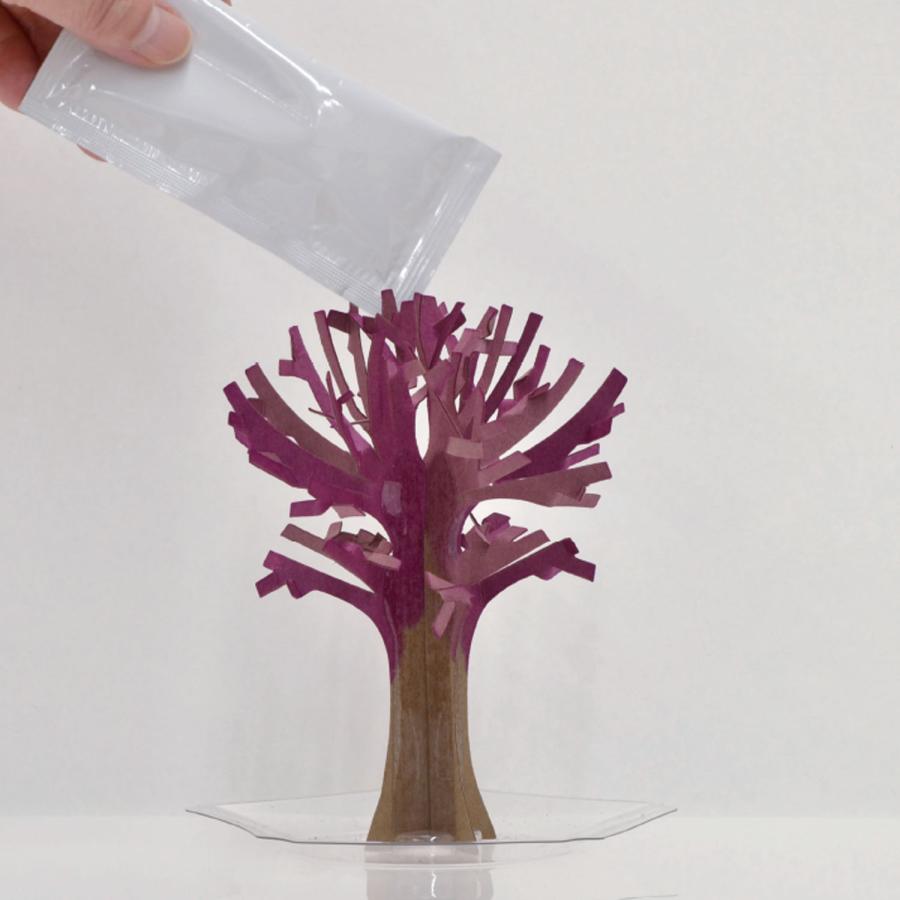 KOKUBO マジック 桜 プレゼント プチギフト さくら 花見 お花見 ギフト 玩具 小久保工業所 |  | 03