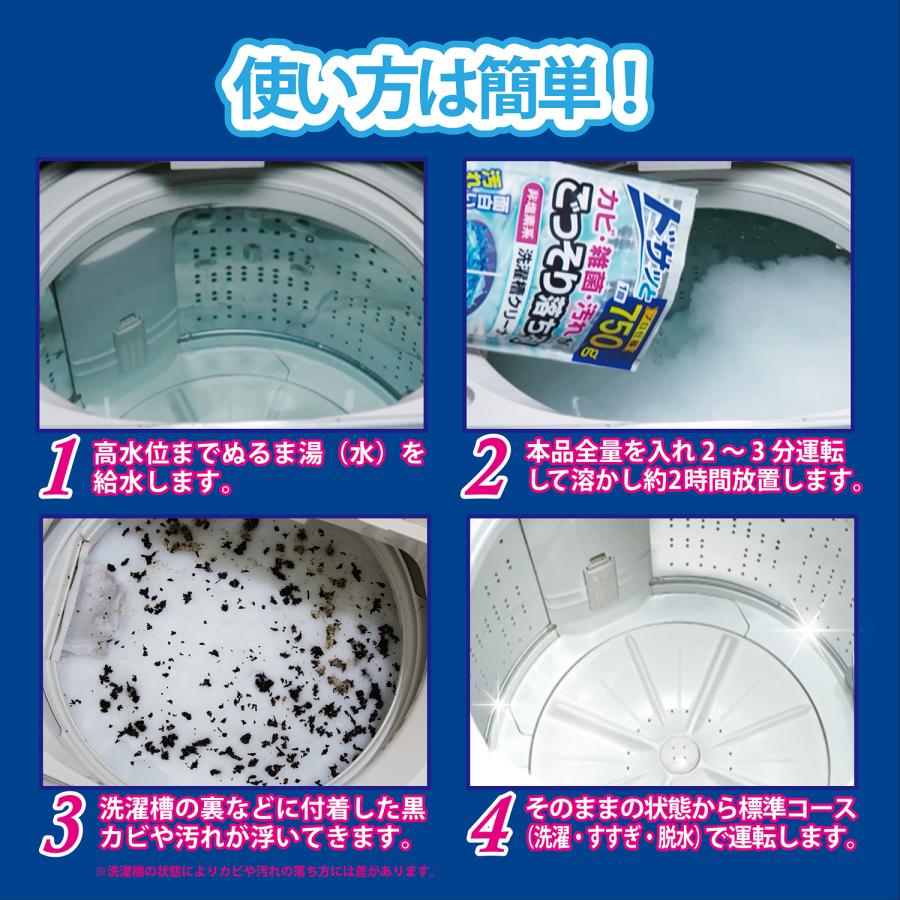 脱臭、除菌効果も。マルチイオナイザー洗濯機用　2個セット 紀陽除虫菊 非塩素系 洗濯槽クリーナー 750g 2個セット 洗濯機