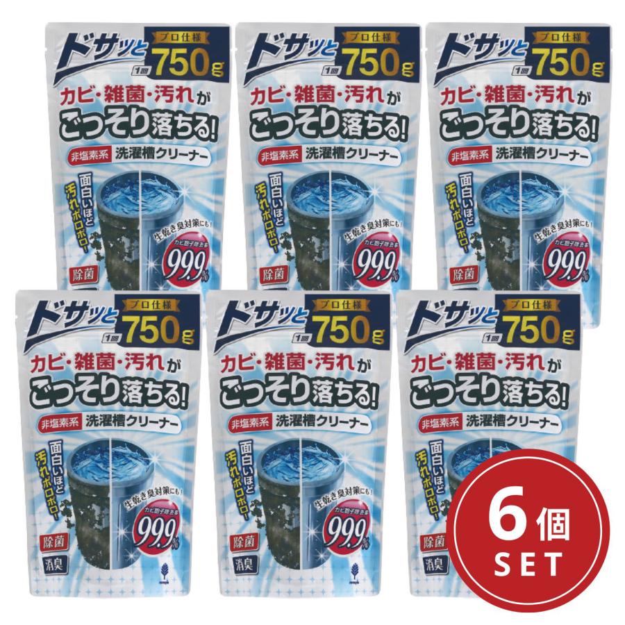 紀陽除虫菊 非塩素系 洗濯槽クリーナー 750g 6個セット 洗濯機