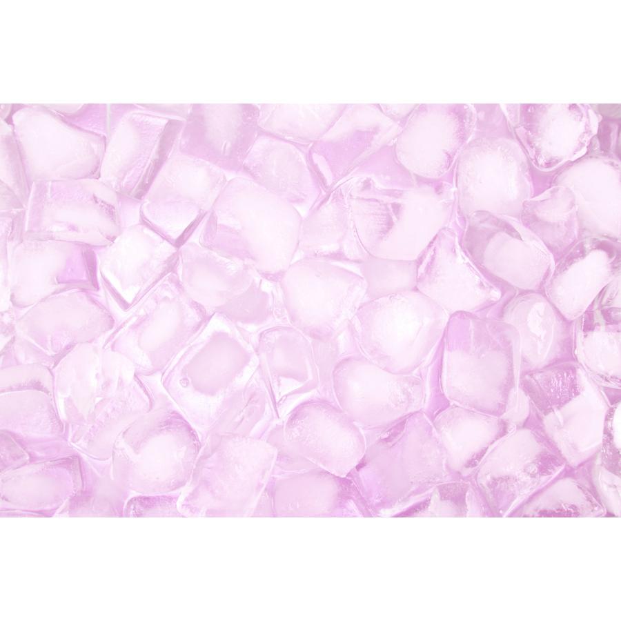 紀陽除虫菊 氷clean 自動製氷機 洗浄剤 3回分 製氷機 洗浄 除菌 掃除 クリーナー 日本製 | 紀陽除虫菊 | 03