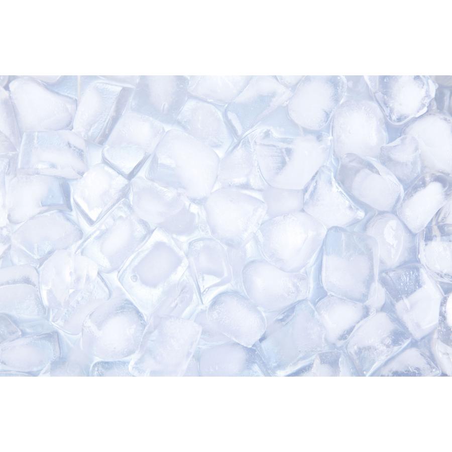 紀陽除虫菊 氷clean 自動製氷機 洗浄剤 3回分 製氷機 洗浄 除菌 掃除 クリーナー 日本製 | 紀陽除虫菊 | 04