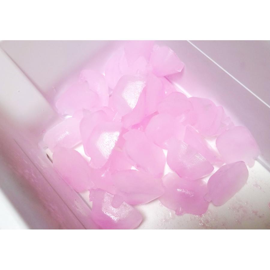 紀陽除虫菊 氷clean 自動製氷機 洗浄剤 3回分 製氷機 洗浄 除菌 掃除 クリーナー 日本製 | 紀陽除虫菊 | 08