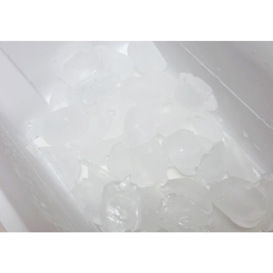 紀陽除虫菊 氷clean 自動製氷機 洗浄剤 3回分 製氷機 洗浄 除菌 掃除 クリーナー 日本製 | 紀陽除虫菊 | 09