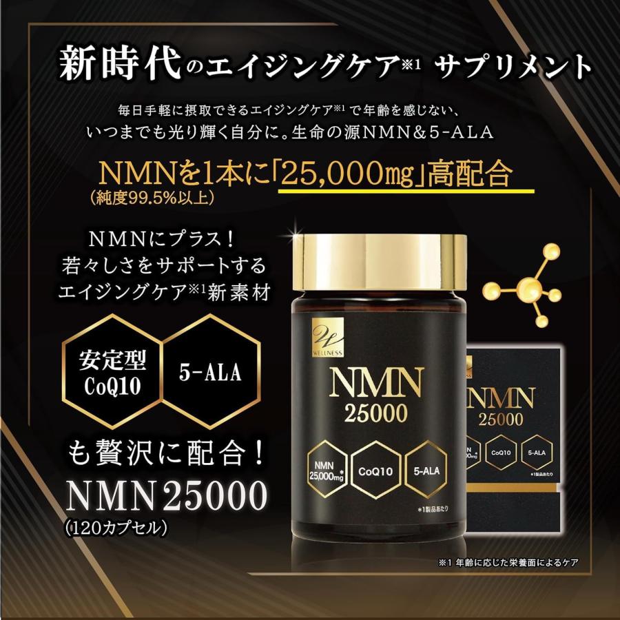NMN25000 【120カプセル×2個】(ウエルネスライフサイエンス