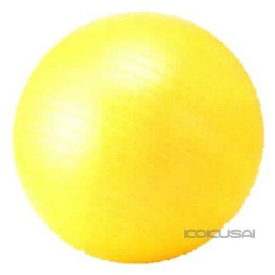 バランスボール 55cm トレーニング フィットネス ダイエット シェイプアップ 体幹 エクササイズ 筋トレ 有酸素運動 インナーマッスル NLS7655 |  | 01