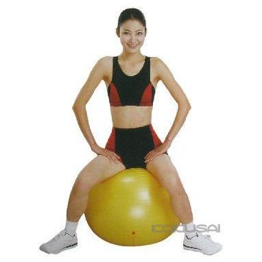 バランスボール 55cm トレーニング フィットネス ダイエット シェイプアップ 体幹 エクササイズ 筋トレ 有酸素運動 インナーマッスル NLS7655 |  | 02