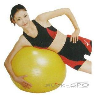 バランスボール 55cm トレーニング フィットネス ダイエット シェイプアップ 体幹 エクササイズ 筋トレ 有酸素運動 インナーマッスル NLS7655 |  | 03