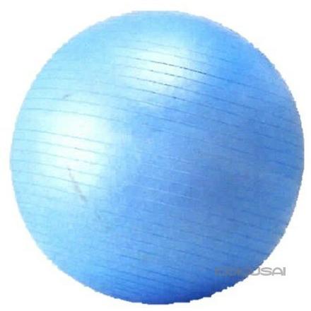 バランスボール 75cm トレーニング フィットネス ダイエット シェイプアップ 体幹 エクササイズ 筋トレ 有酸素運動 インナーマッスル NLS7675 | 