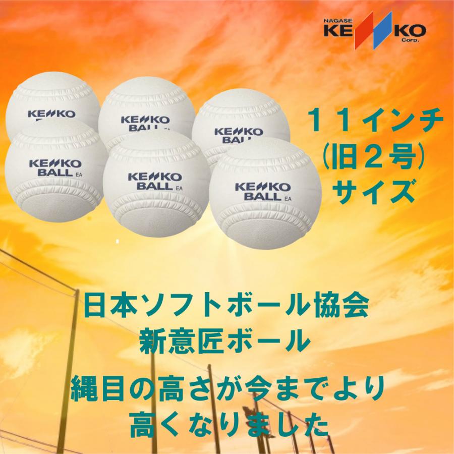 NAGASE KENKO（ナガセケンコー） ソフトボール11インチ(旧2号サイズ
