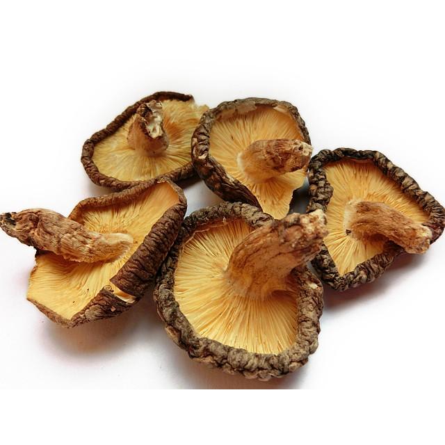 しいたけ 冷凍熟成椎茸（Lサイズ：5cm程度）（業務用向け商品） - 原木