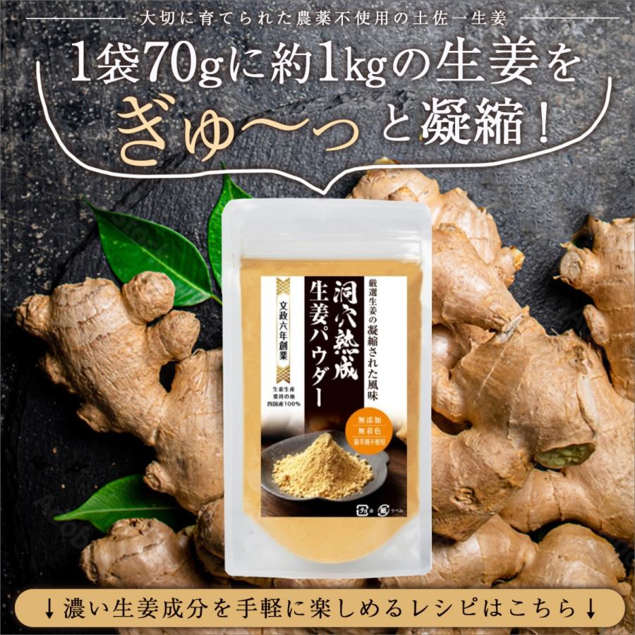 洞穴熟成 四国産 生姜パウダー 70g 無着色 無添加 除草剤不使用