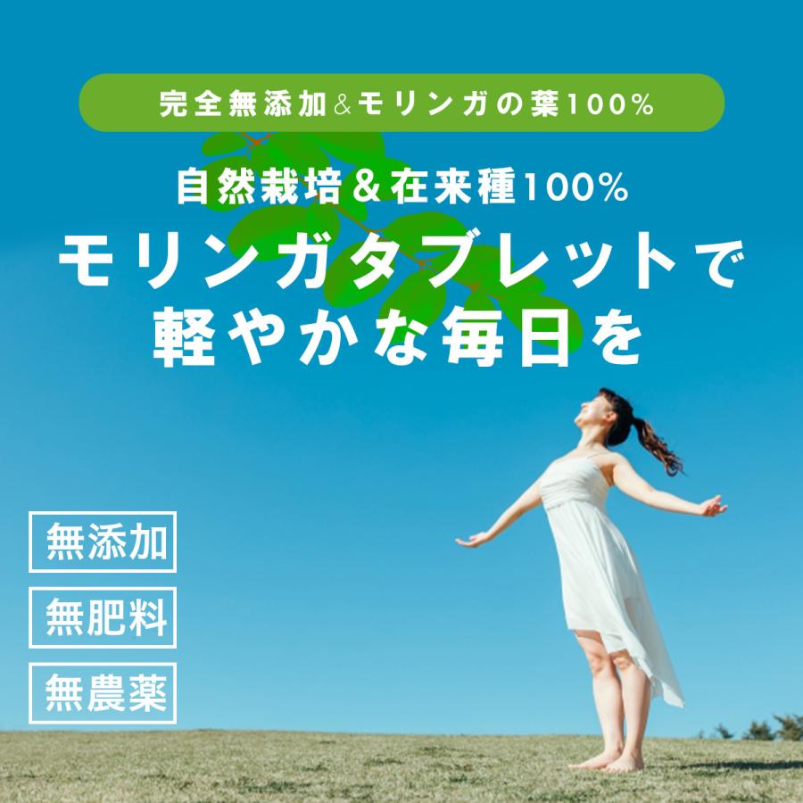 モリンガタブレット(200mgx300粒) 約1か月分 JAS認証 有機