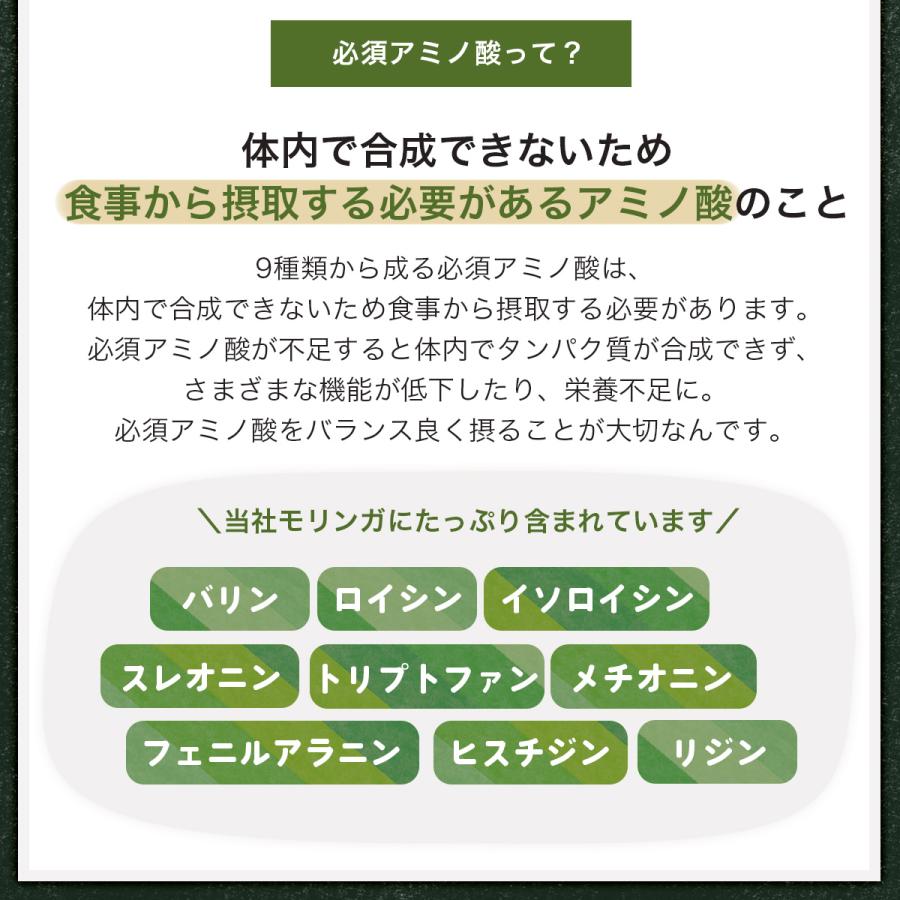 モリンガタブレット(200mgx300粒) 約1か月分 JAS認証 有機