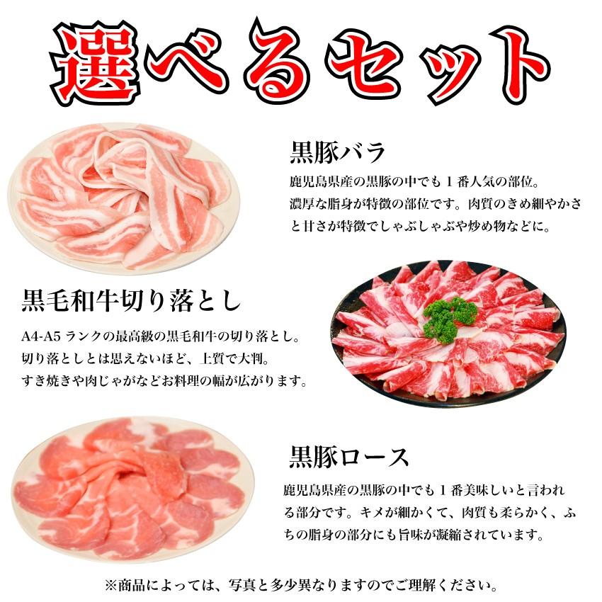 選べるセット6 5キロ A5 鹿児島 黒毛和牛 切り落とし 黒豚ロース 黒豚バラ 500グラム 13パック すき焼き しゃぶしゃぶ お歳暮 ギフト Eraberuset004 こだわり商事 通販 Yahoo ショッピング