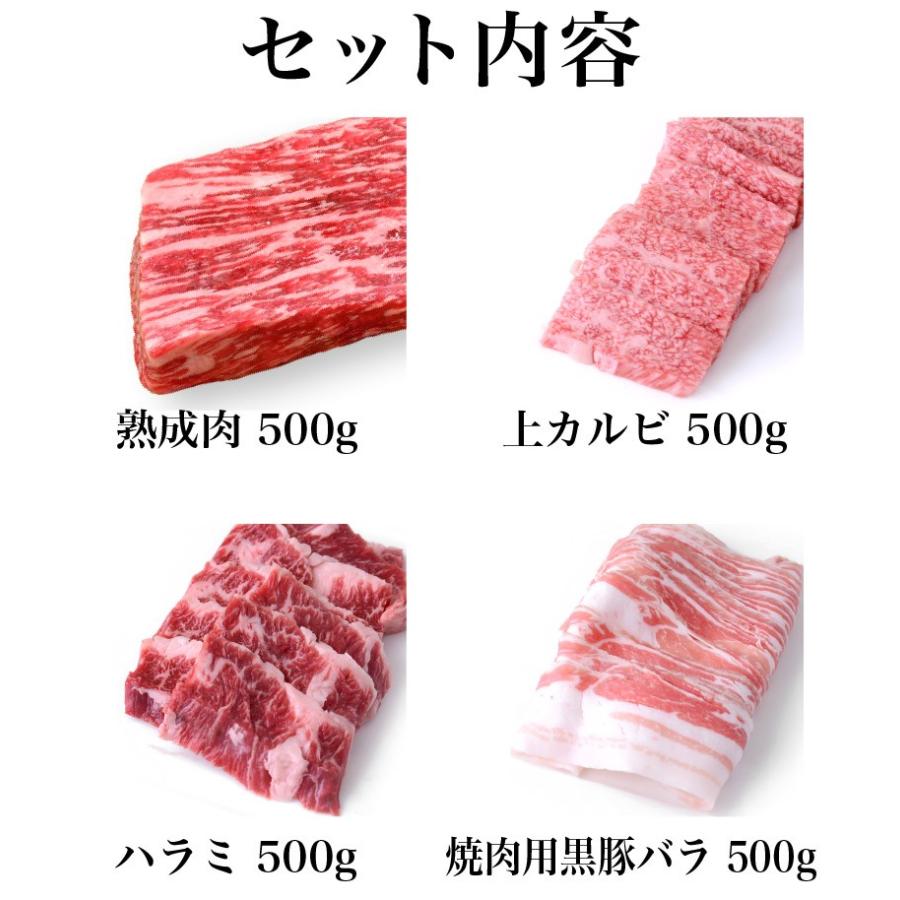 焼肉セット 熟成肉500g 上カルビ500g ハラミ500g 焼肉用黒豚バラ500g 焼肉用特上ロース500g マルチョウ500g 合計3kg Kagoshimabeef Kagoshima Beef186 こだわり商事 通販 Yahoo ショッピング