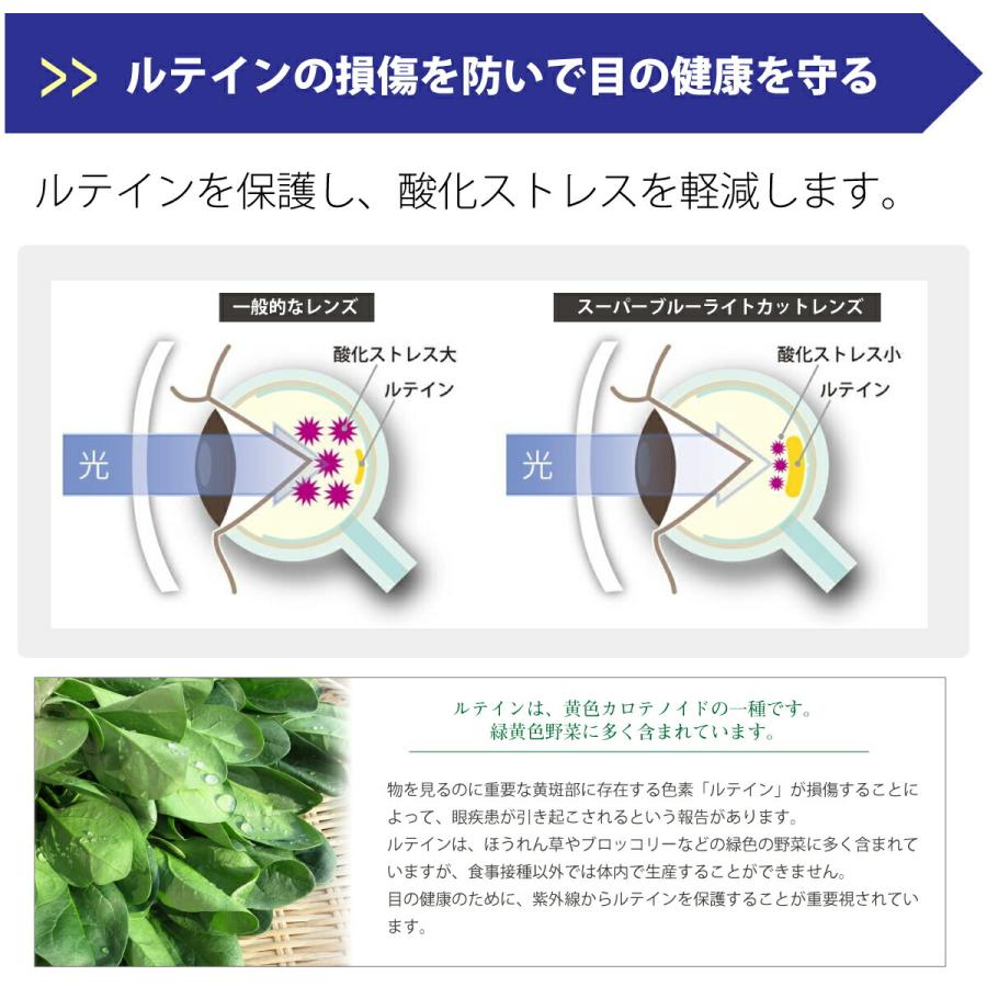 度なし 伊達 メガネ スーパーブルーライトカット 94% AQUALIBERTY アクアリバティ AQ22511 日本製 チタン ボストン 鯖江 シャルマン メンズ レディース おしゃれ_2