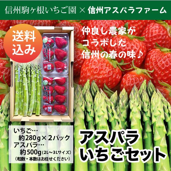 信州産アスパラガスといちごセットー３月下旬から５月初旬限定！コラボ企画！！ | 