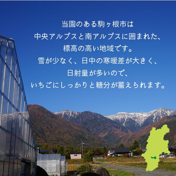 選べる４個♪国産いちごのバタージャムと無添加・砂糖不使用のはちみついちごジャム｜komagane-ichigo｜18