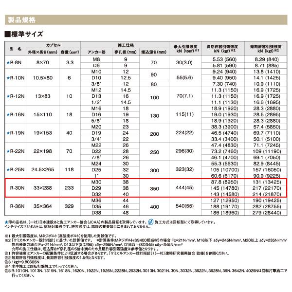 日本デコラックス ケミカルアンカーRタイプ 10本 R-30N : あかばね金物