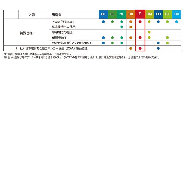 日本デコラックス ケミカルアンカーRタイプ 10本 R-30N : あかばね金物
