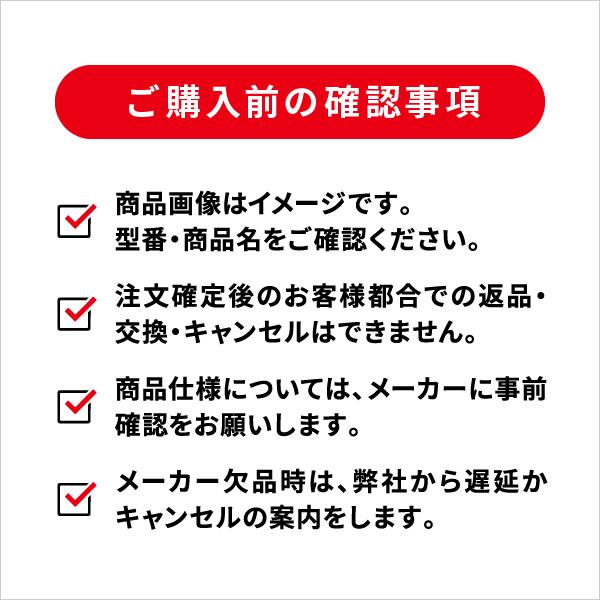 日本デコラックス ケミカルアンカーRタイプ 10本 R-30N : あかばね金物