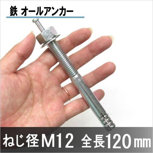 サンコーテクノ オールアンカー C-1212 M12 120mm 鉄 30本単位 : c