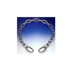 ステンレス チェーン D-010 線径 4mm 防犯用 鎖 長さ 60cm : あかばね