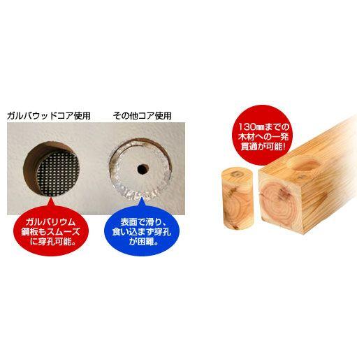 ガルバウッドコアポリSDSセット 刃先径29mm有効長130mm PCGW29R ミヤナガ