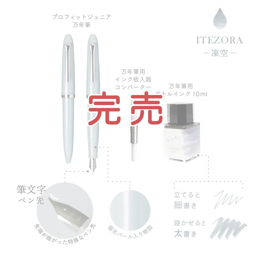 セーラー万年筆 最大P21％☆爆買WEEK プロフィットジュニア+10