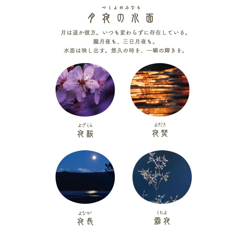 セーラー万年筆 SHIKIORI 四季織 月夜の水面 万年筆 細字 全4種 11-0558 全4種から選択｜komamono｜02