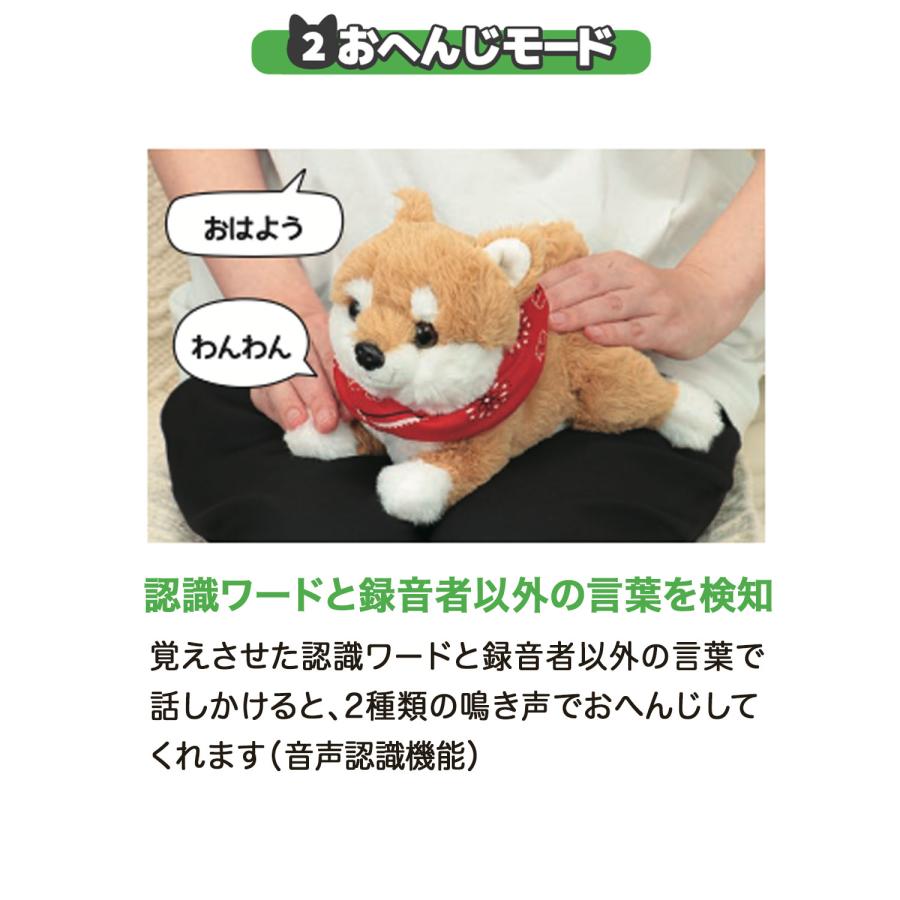 アーテック Artec 音声認識ぬいぐるみ よんで! だっこして! おへんじアニマル2 柴犬_7