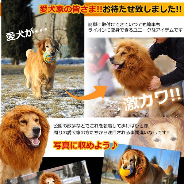 犬用 ライオン変身グッズ ネックウォーマー (sb) : こまもの本舗 Yahoo 