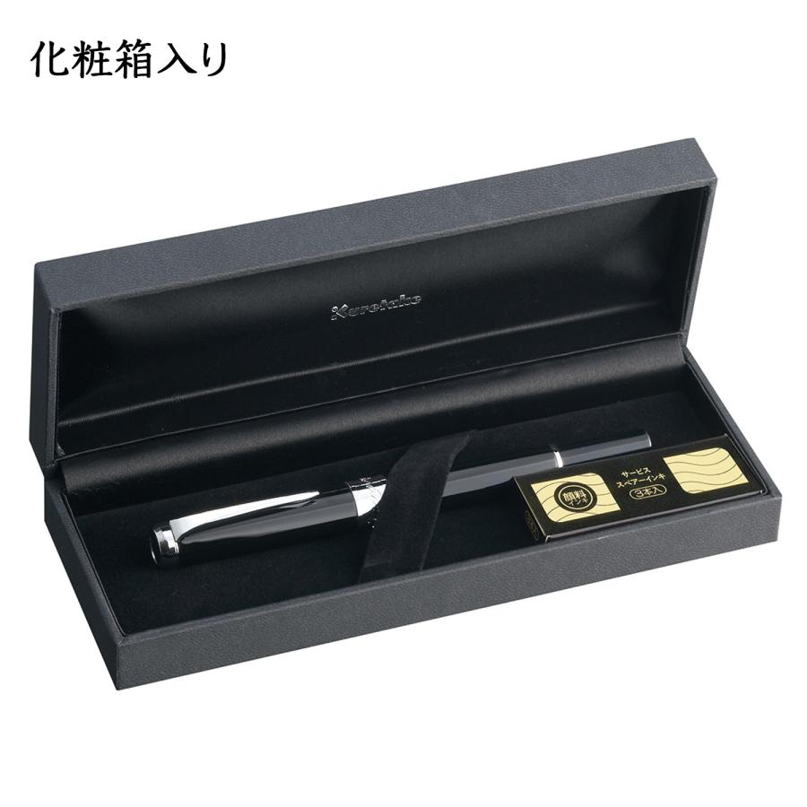 最大P17％★ヤフショ感謝デー (取り寄せ品)呉竹 Kuretake くれ竹万年毛筆 スターリーナイト 撰 ブラック DAY142-1の画像