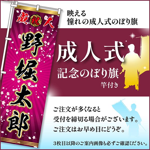 卒業 入学 に変更可能 成人式 のぼり旗 ポール付き 柄 112 桜 卒業 入学 に変更可能 成人式 のぼり旗 ポール付き 柄 112 桜