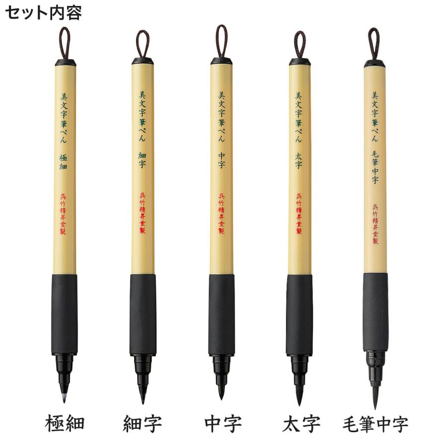 呉竹 (取り寄せ品)呉竹 Kuretake BIMOJI FUDE PEN Assorted set 美文字