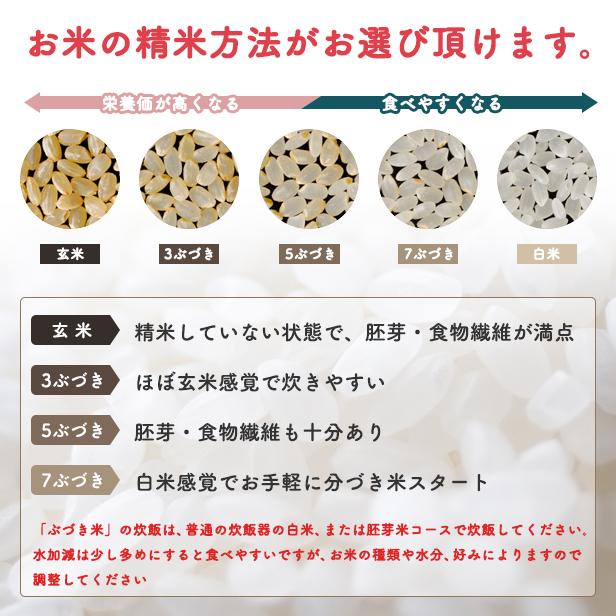 あきたこまち 【三分つき20kg】令和7年産 秋田県産あきたこまち