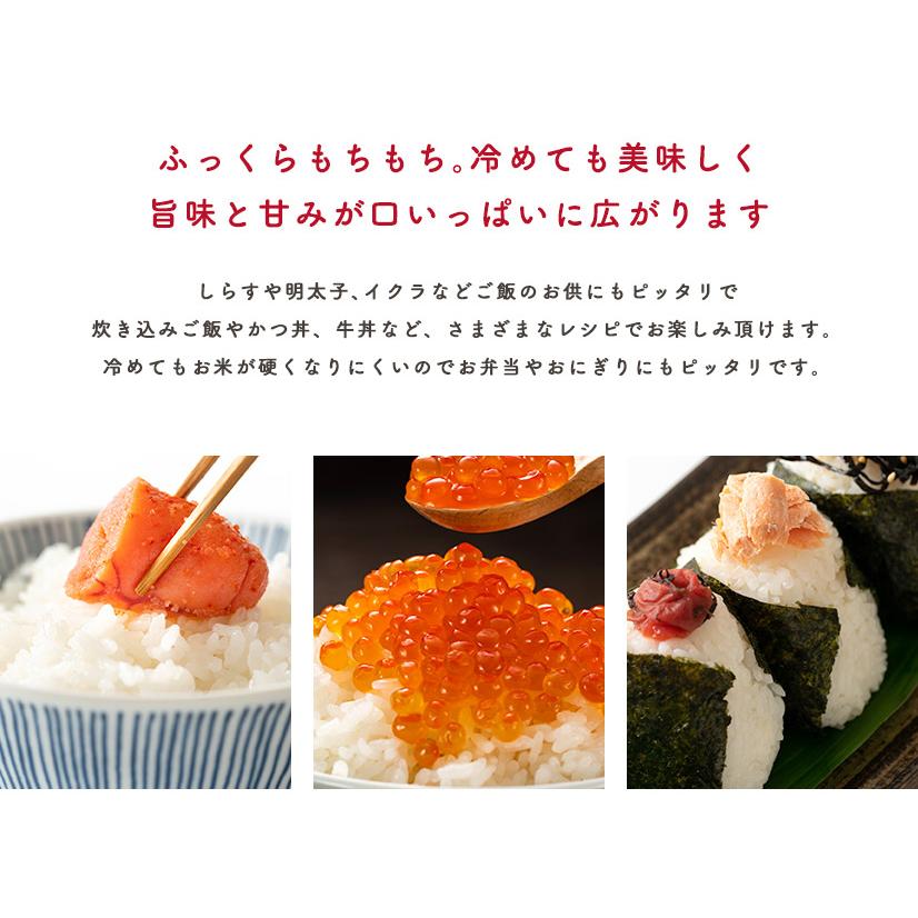 ひとめぼれ 【精米】令和7年産 秋田県産 20kg 5kg×4袋厳選米 米びつ