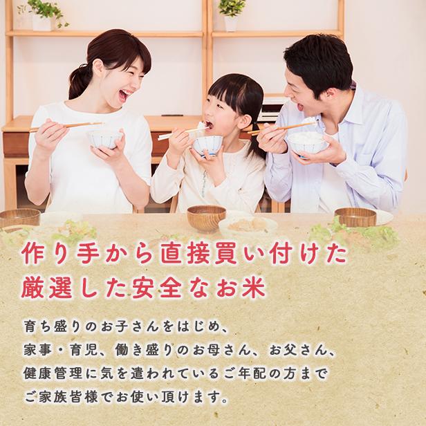 あきたこまち 【精米30kg】令和6年産 秋田県産 あきたこまち あきたこまち 【精米30kg】令和6年産 秋田県産 あきたこまち