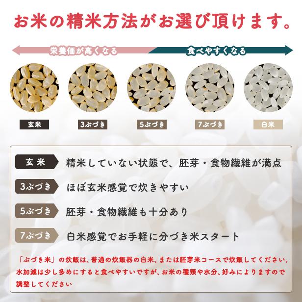 【精米30ｋｇ】令和5年産 秋田県産 あきたこまち27ｋｇ  厳選されたおいしいお米米びつ当番【天鷹唐辛子】付き｜komatiline｜07