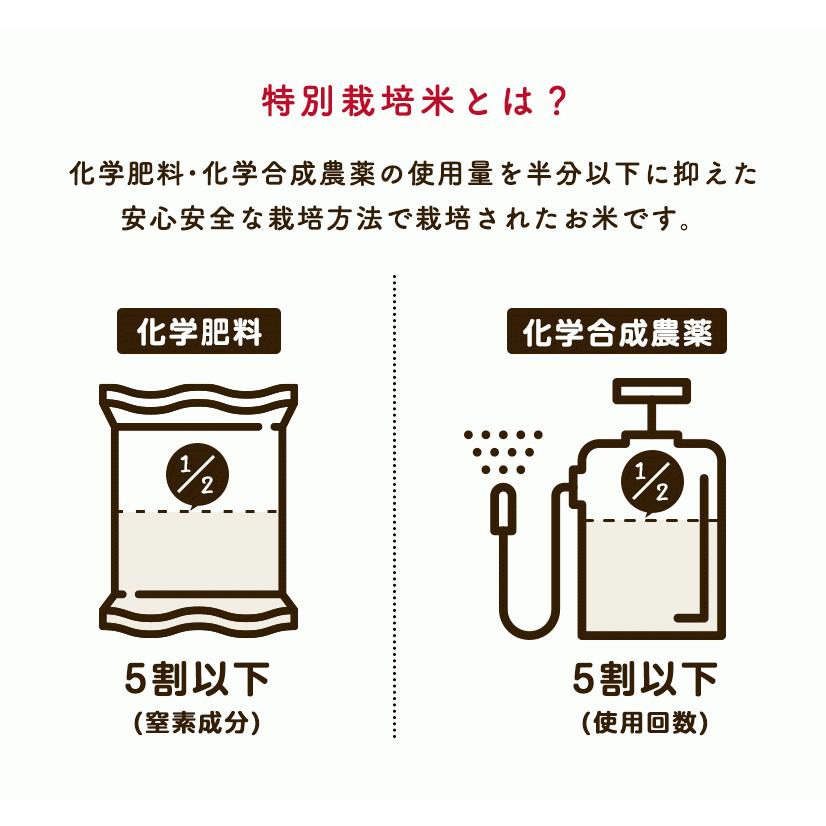 新米!【精米30kg特栽】令和4年産 秋田県特別栽培農産物認証米特別栽培米 秋田県産 あきたこまち 27kg 安心・安全なおいしいお米 :10000025:こまちライン - 通販 - Yahoo!ショッピング 新米!【精米30kg特栽】令和4年産 秋田県特別栽培農産物認証米特別栽培米 秋田県産 あきたこまち 27kg 安心・安全なおいしいお米 :10000025:こまちライン - 通販 - Yahoo!ショッピング