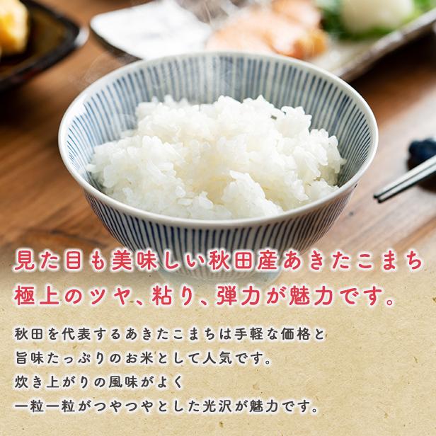 【備蓄米 無洗米5kg】令和5年産 秋田県産 あきたこまち5kg 2.5kg×2袋　令和5年産 送料無料 米　5kg　米びつ当番【天鷹唐辛子】プレゼント付き　｜komatiline｜06