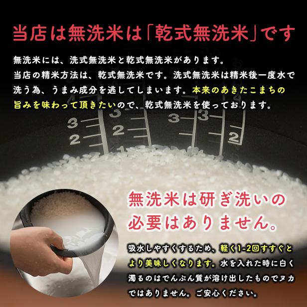 【備蓄米 無洗米5kg】令和5年産 秋田県産 あきたこまち5kg 2.5kg×2袋　令和5年産 送料無料 米　5kg　米びつ当番【天鷹唐辛子】プレゼント付き　｜komatiline｜09