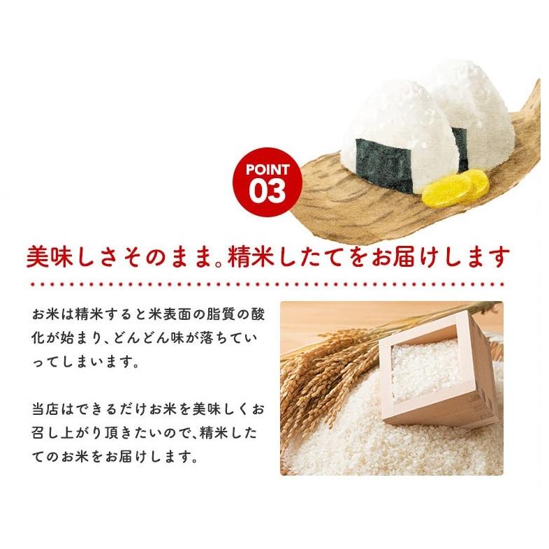 こまち姫30kg】令和7年産 東北産 こまち姫（オリジナルブレンド米
