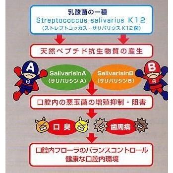 口内善玉菌食品 プロバイオティクス K12 (895mg×30粒) x 3個セット＋